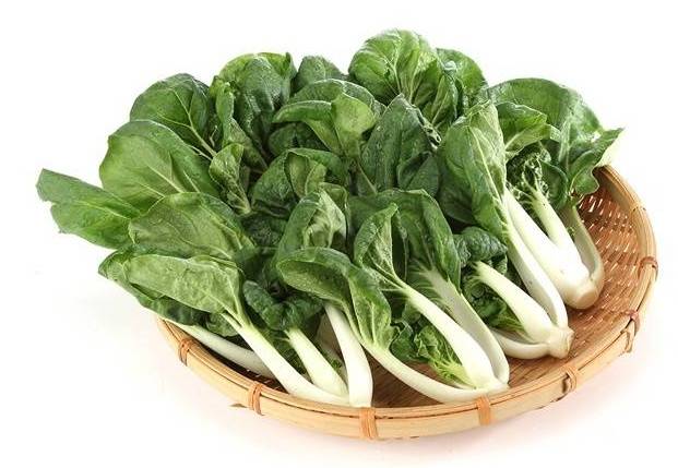 奶油小白菜Creamed cabbage